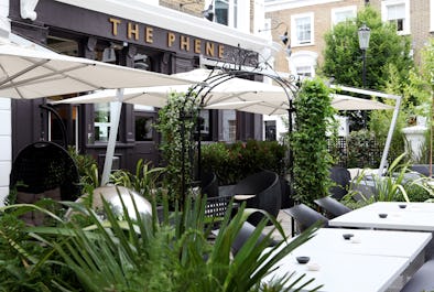 The Phene
