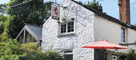 The Red Lion Steeple Aston