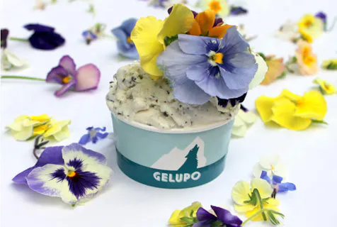 Gelupo