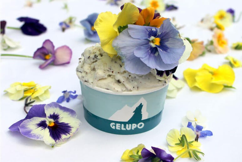 Gelupo