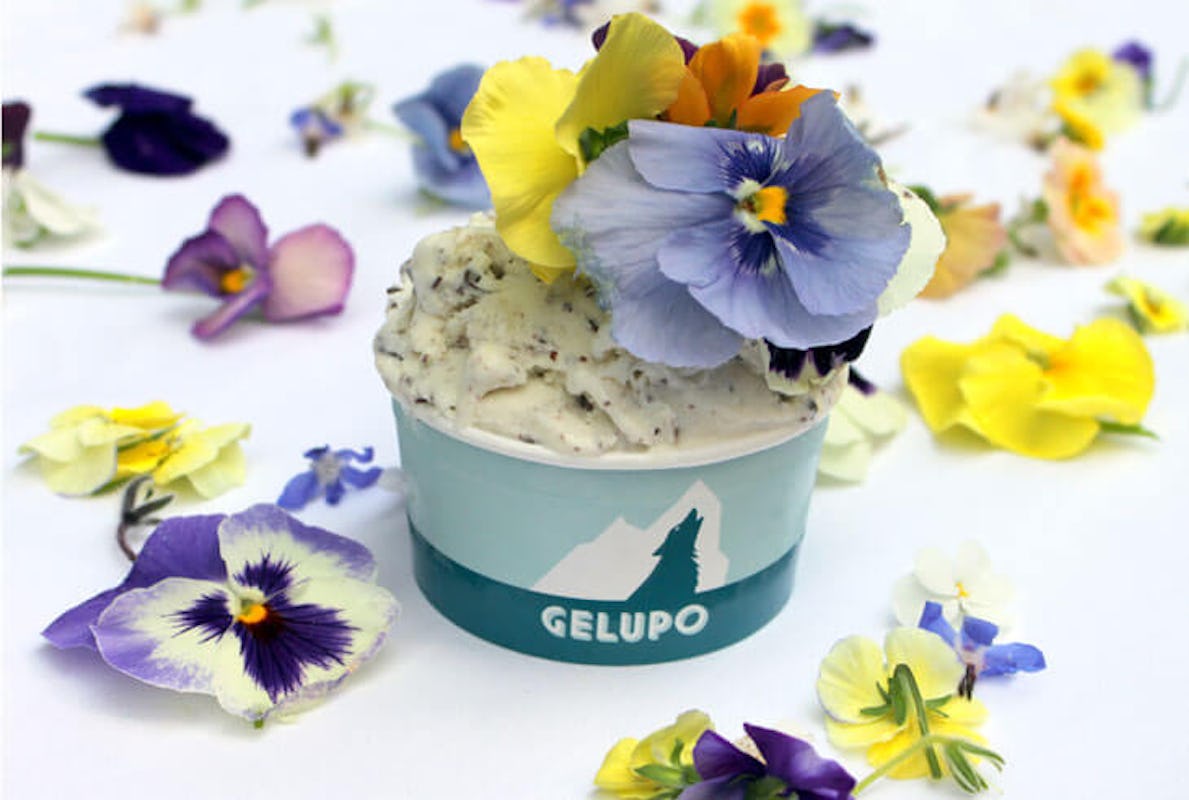 Gelupo