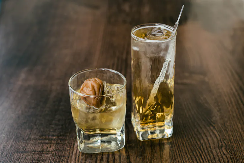 Hare & Tortoise Kensington