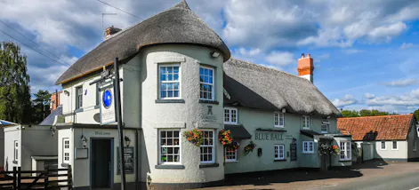 The Blue Ball Exeter
