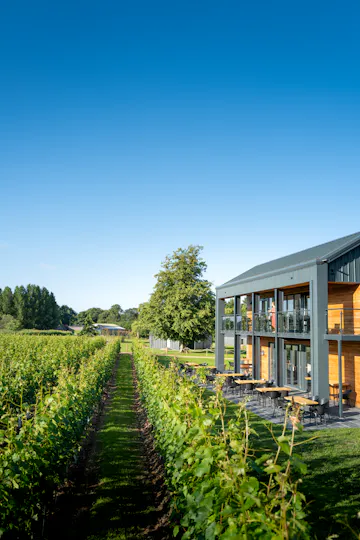 The Vineyard Restaurant at Ashling Park Estate