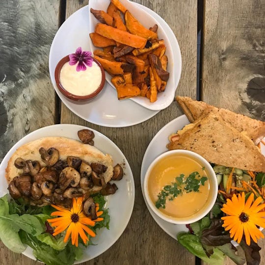Pillars of Hercules Organic Farm Shop & Café
