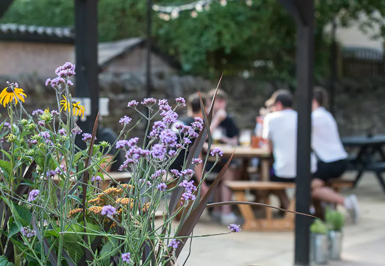 The Ivy House