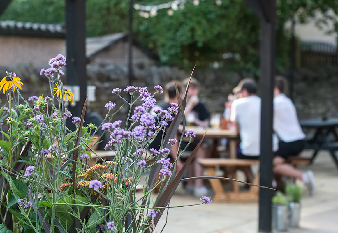 The Ivy House