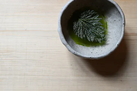 Nettle