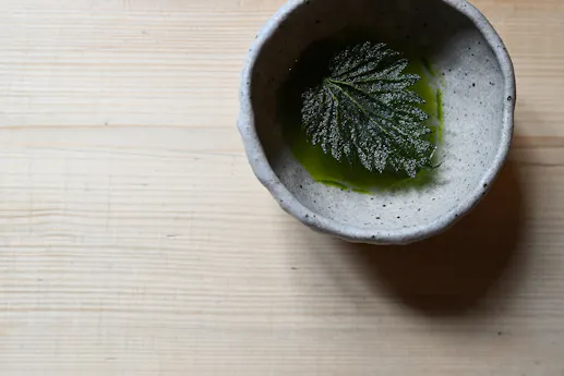 Nettle