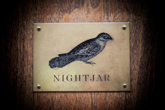 Nightjar