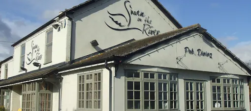 The Swan on the River