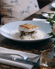 The Cat Inn