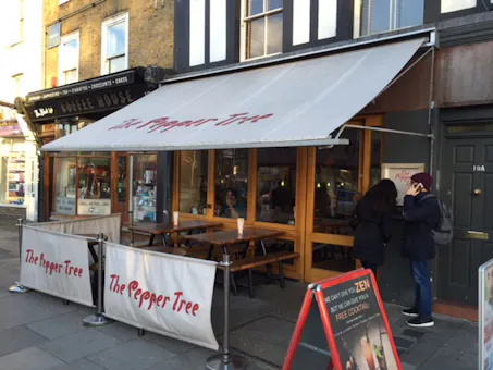 Pepper Tree