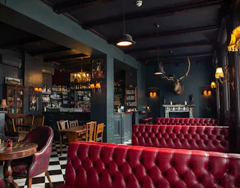 The Milk Thistle