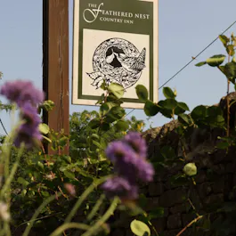 The Feathered Nest Inn