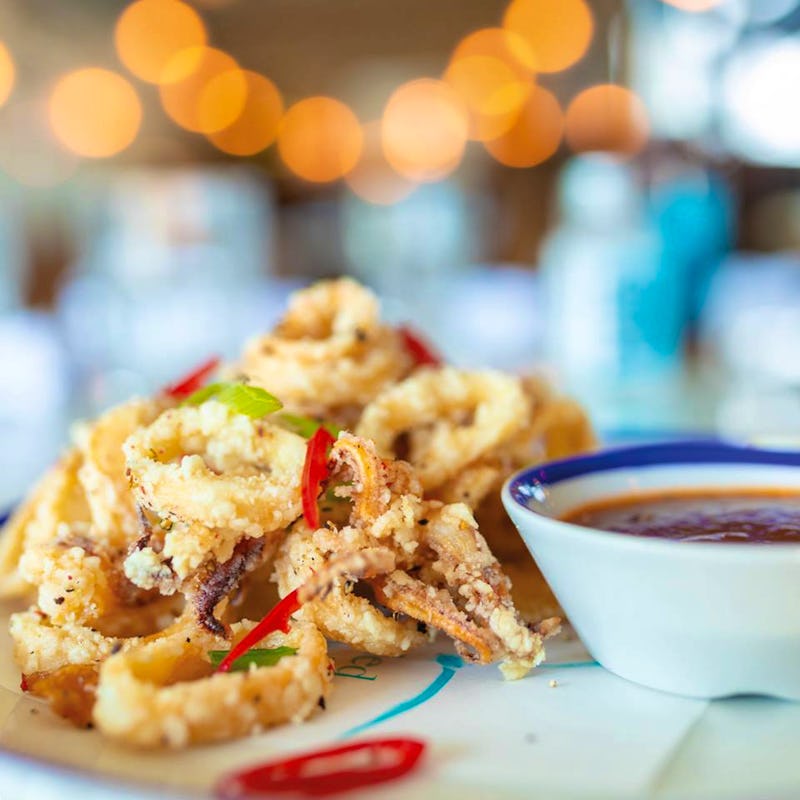 RockFish Dartmouth, Devon Restaurant Review, Menu, Opening Times