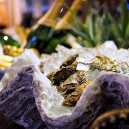 The Seashell Of Lisson Grove