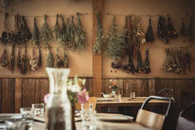 Riverford Field Kitchen