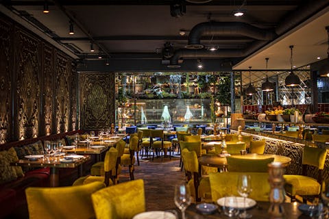 Coya Mayfair