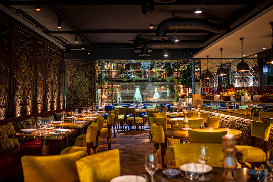 Coya Mayfair