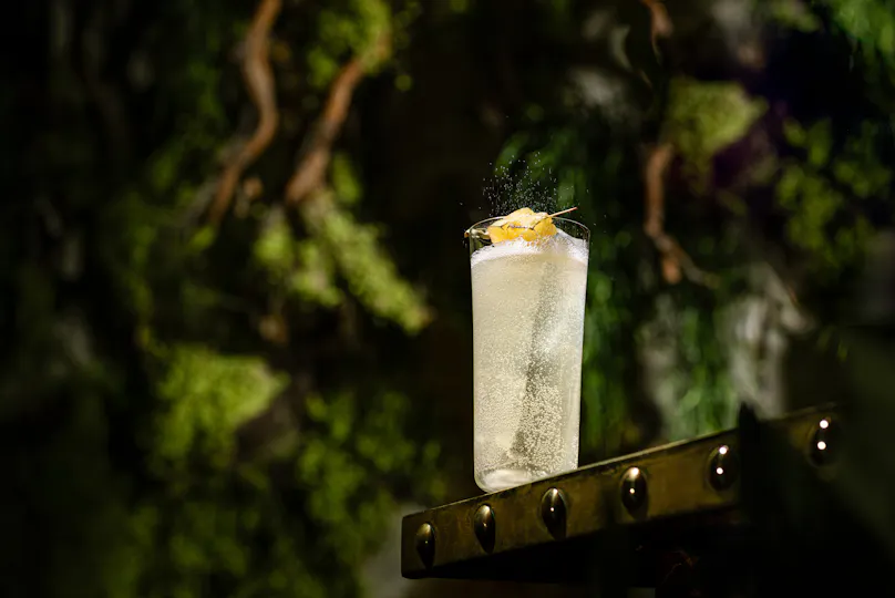 Coya Mayfair