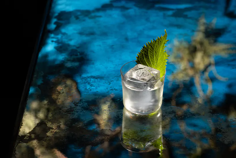 Coya Mayfair