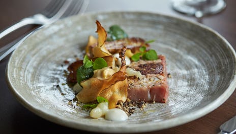 Purslane Cheltenham
