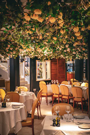 San Carlo Fumo