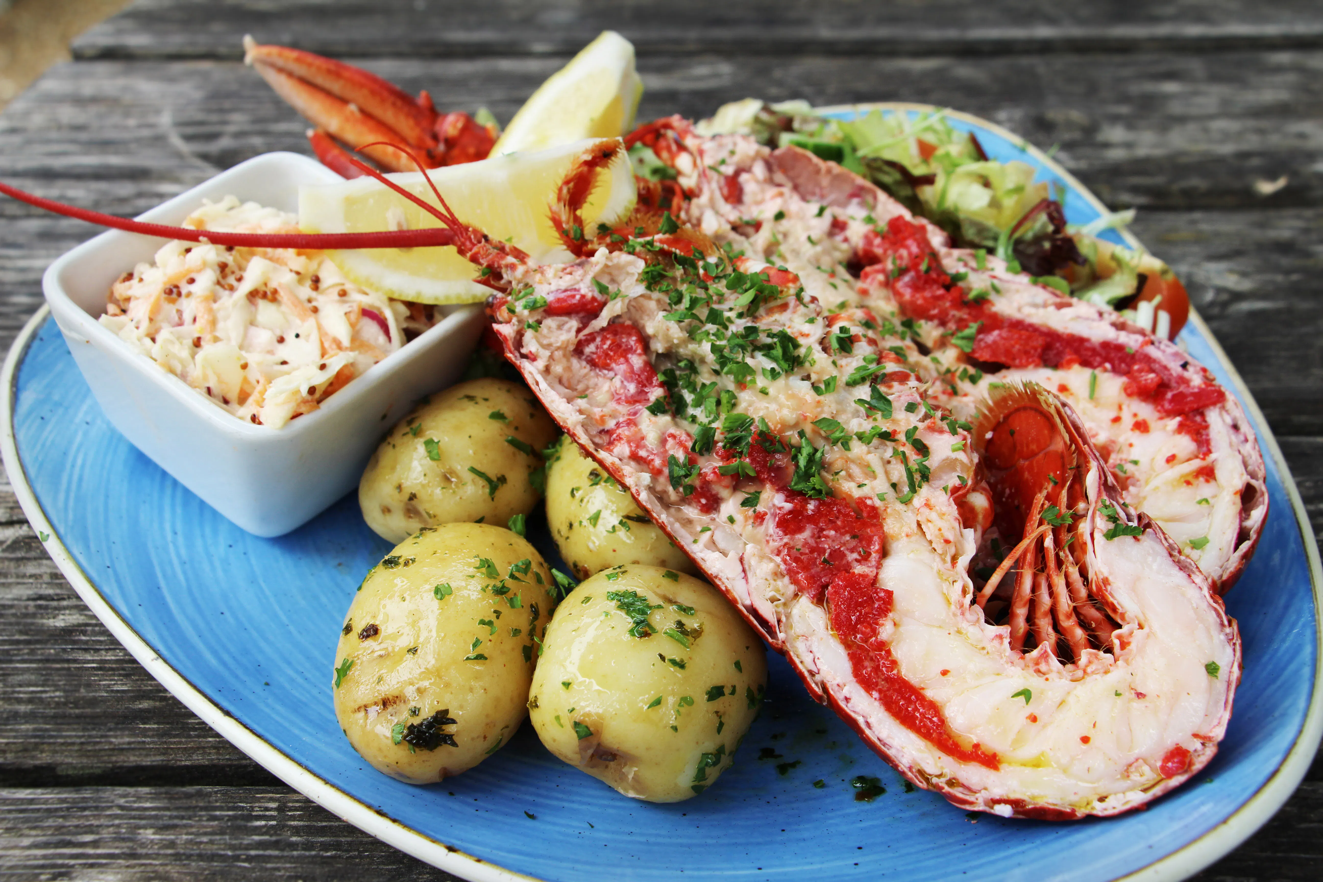 The Stiffkey Red Lion, Norfolk - Restaurant Review, Menu, Opening