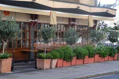 Zafferano