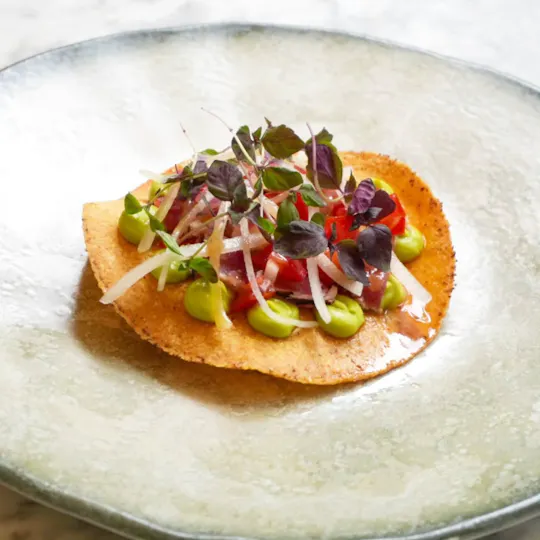 Restaurant Michael Nadra Primrose Hill