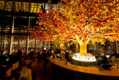 Sushisamba (bar)