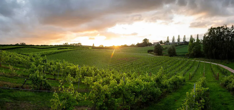 The Vineyard Restaurant at Three Choirs