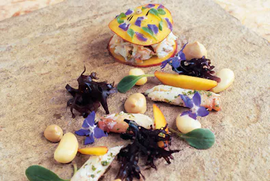 Le Champignon Sauvage