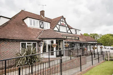 The Hampshire Hog