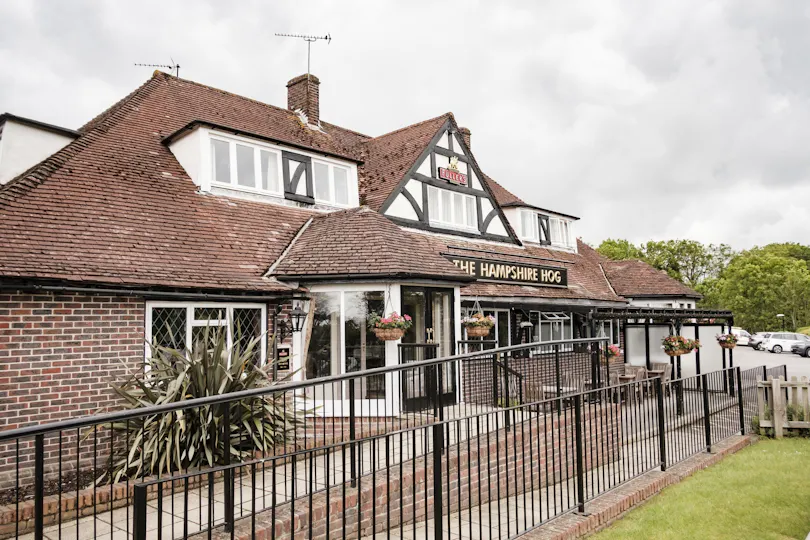 The Hampshire Hog