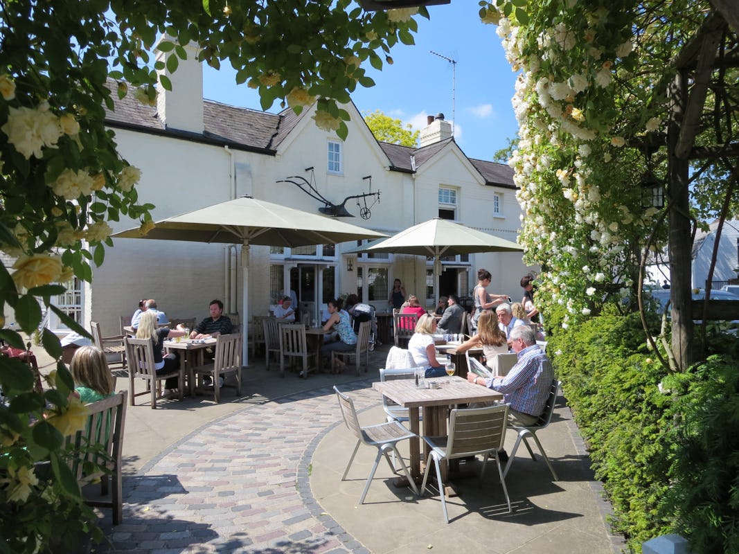 The Plough - East Sheen