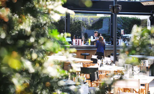 Piccolino - Virginia Water
