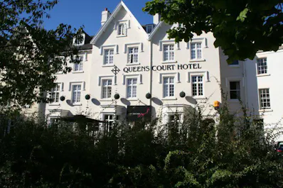 The Olive Tree Restaurant Exeter