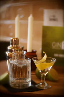 Gin 71