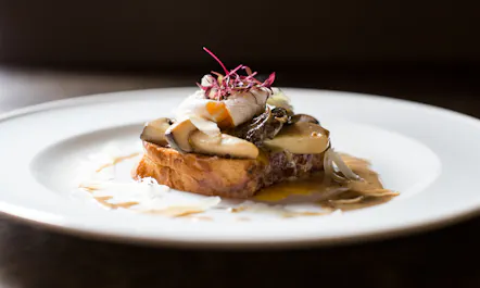 The Olive Tree - Romsey