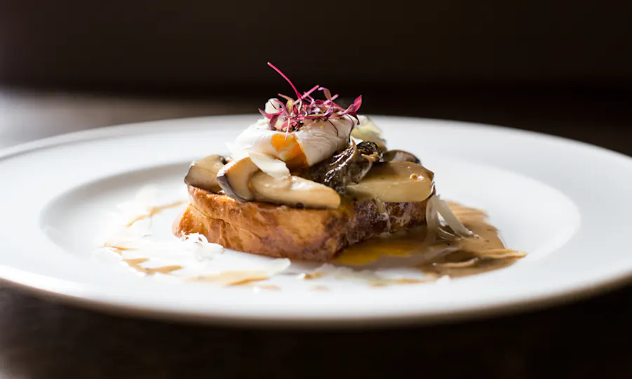 The Olive Tree - Romsey