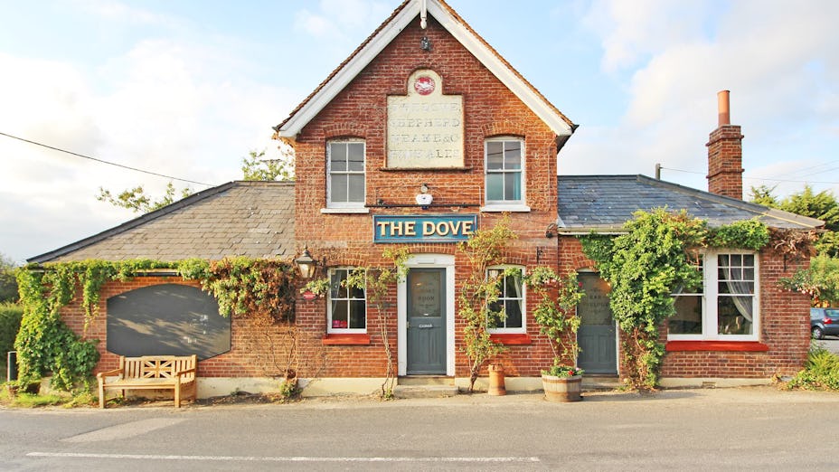 The Dove Faversham