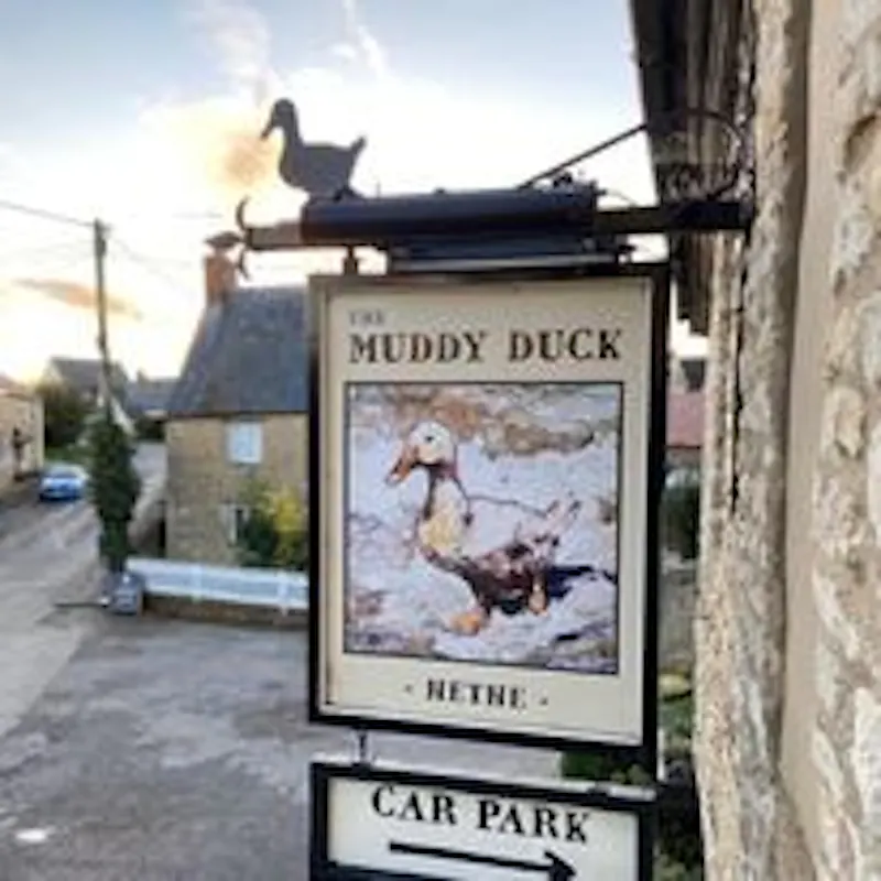 The Muddy Duck