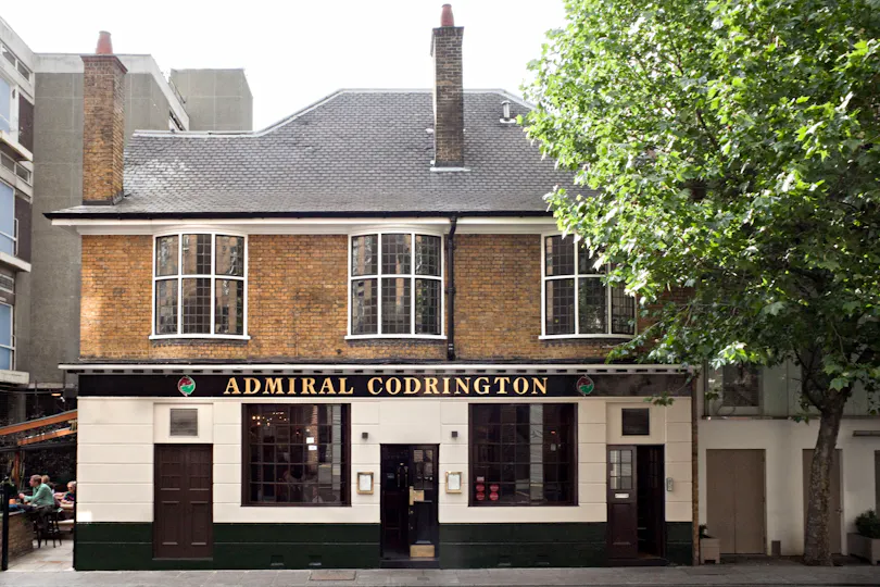 The Admiral Codrington