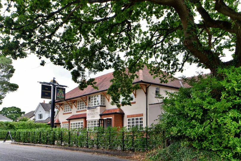 Monmouth Ash