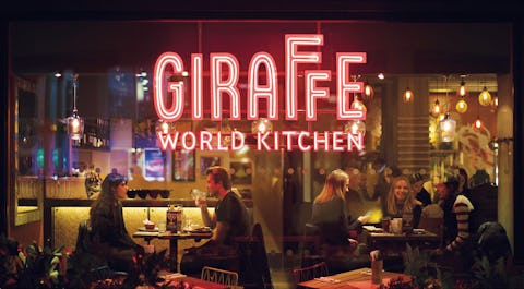 Giraffe - Lakeside