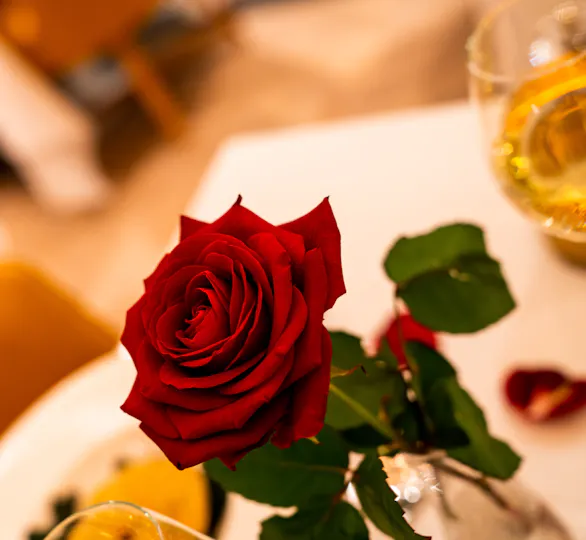 The Terrace Restaurant at Blakemore Hyde Park