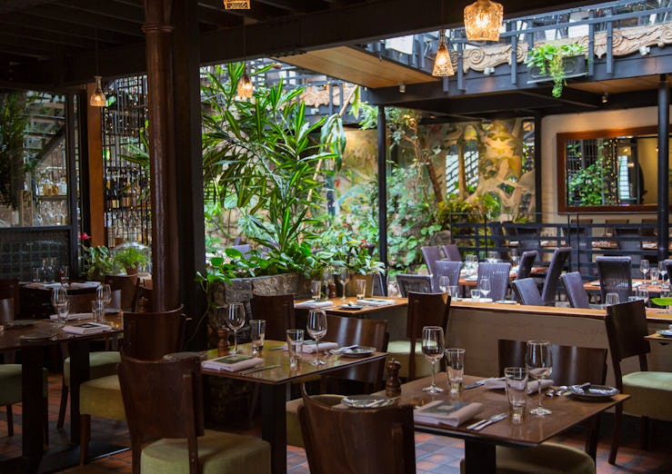 Ubiquitous Chip, Glasgow Restaurant Reviews, Bookings, Menus, Phone