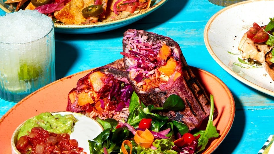 Las iguanas just 2024 eat